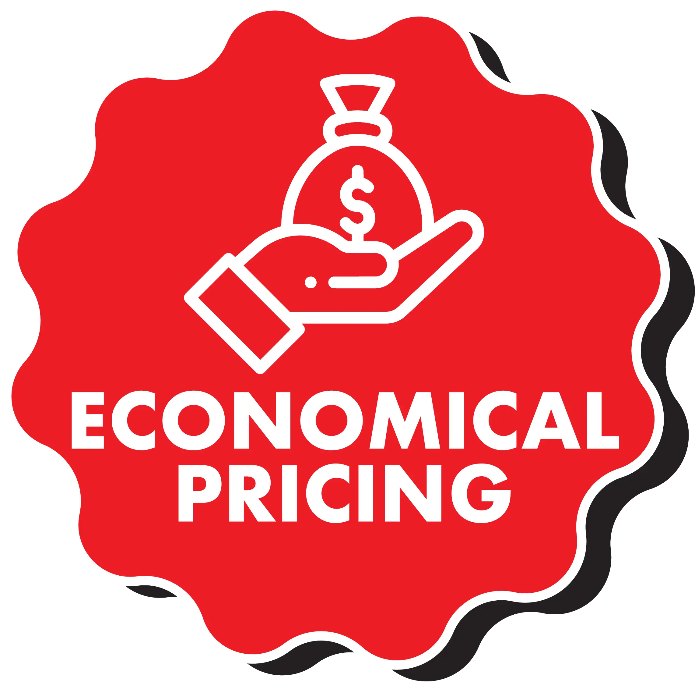 Economical pricing for General Consumers