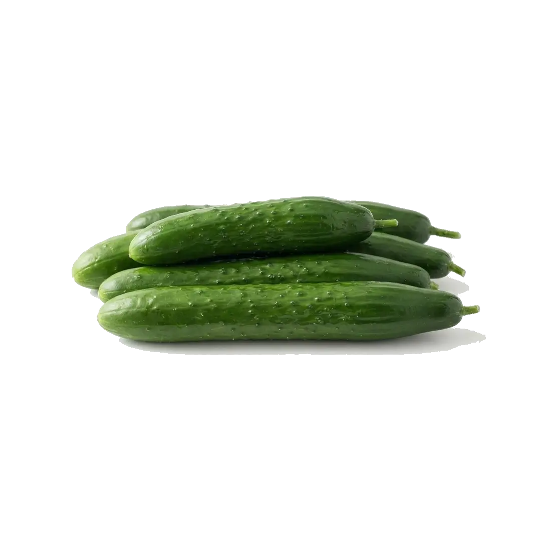 Japanese Cucumber